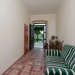 Aleksandra Apartment *
